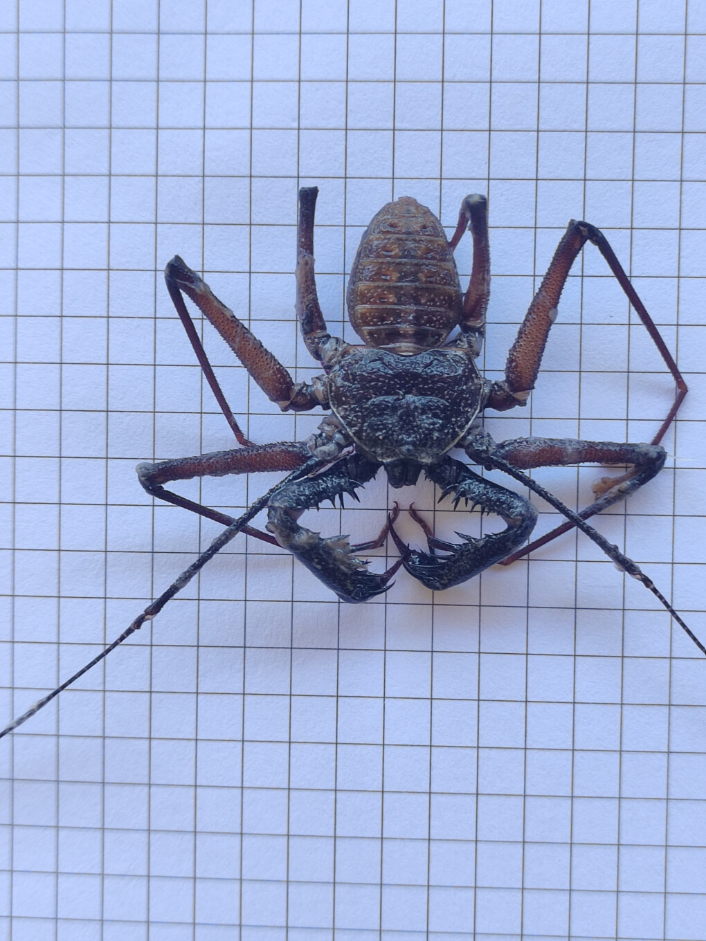 4331118.jpg 4331118.jpg