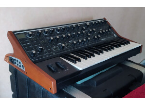Moog Music SUB 37 (50849)