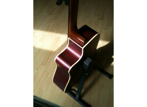 Art & Lutherie Spruce CW