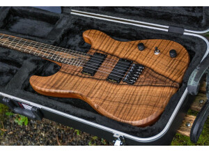 Hufschmid Guitars Tantalum (25950)