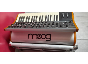 Moog Music SUB 37 (61540)