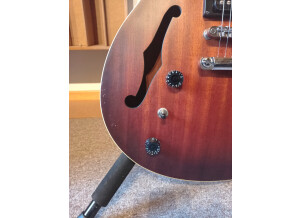 Ibanez AS53L (51538)
