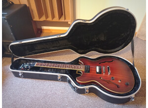 Ibanez AS53L (51544)