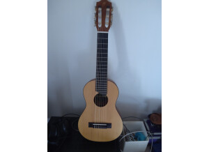 Boss FZ-5 Fuzz (28563)