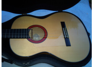 Alhambra Guitars 10Fp (88420)