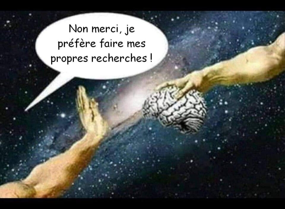 4337937.jpeg 4337937.jpeg