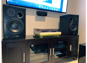 Dynaudio BM15A (60268)