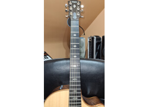 Taylor 714ce [2018-Current] (49222)