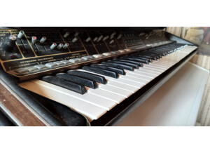Moog Music Polymoog Synthesizer (203A) (84540)