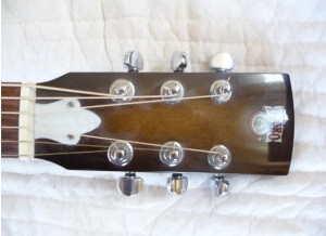 Gibson DM-33 (42355)