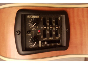 Yamaha APX9C (39439)