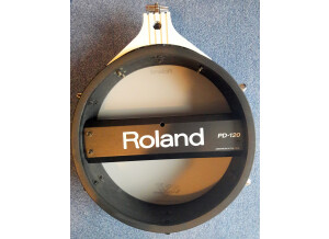 Roland PD-100