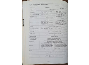 Ramsa WP-9220 (53137)