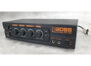 Roland RV 100 (5060)