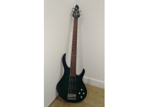 Peavey International series 5 String Bass (79598)