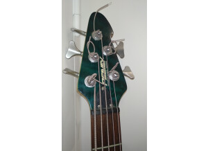 Peavey International series 5 String Bass (71514)