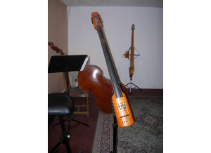 Ns Design Bass Cello