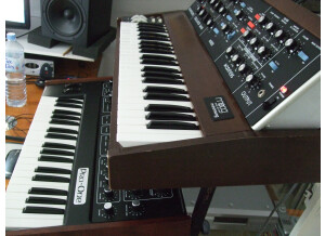 Moog Music MiniMoog (91768)