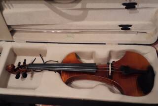 RG-eviolins RG AR-4