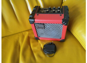 Roland Micro Cube (40175)