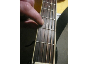 cort earth 100 001.JPG