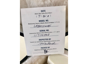 Gibson Buckethead Les Paul Studio (93957)