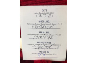 Gibson Flying V 2019 (29470)