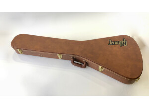 Gibson Flying V 2019 (24793)