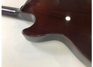 Gibson Les Paul Junior Single Cut (92810)