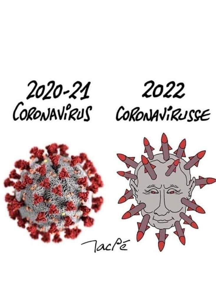4360152.jpeg 4360152.jpeg
