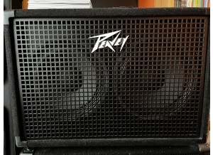 Peavey Headliner 210 (11841)