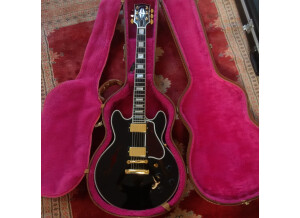 Gibson ES-175 Custom Shop Case