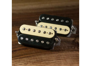 Cecca Burst Origin – Jerry T. signature – PAF 59 Alnico 3 Humbucker