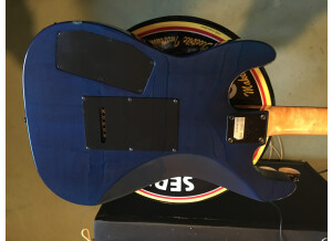 Godin Artisan ST I (13529)