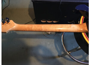 Godin Artisan ST I (40050)