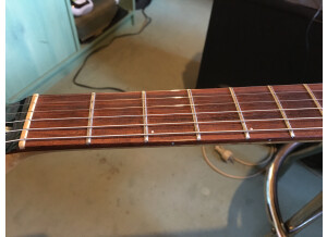 Godin Artisan ST I (18834)