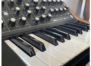 Moog Music Subsequent 25 (72818)