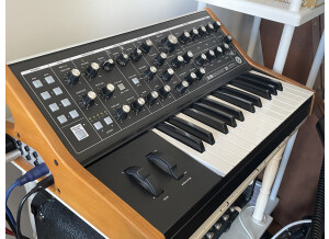 Moog Music Subsequent 25 (69113)