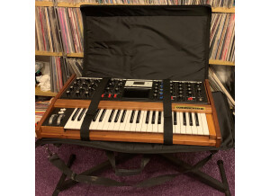 MOOG VOYAGER (2).JPG