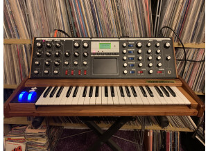 MOOG VOYAGER (3).JPG