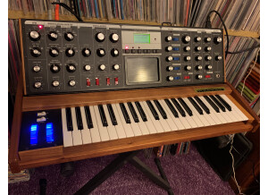 MOOG VOYAGER (4).JPG