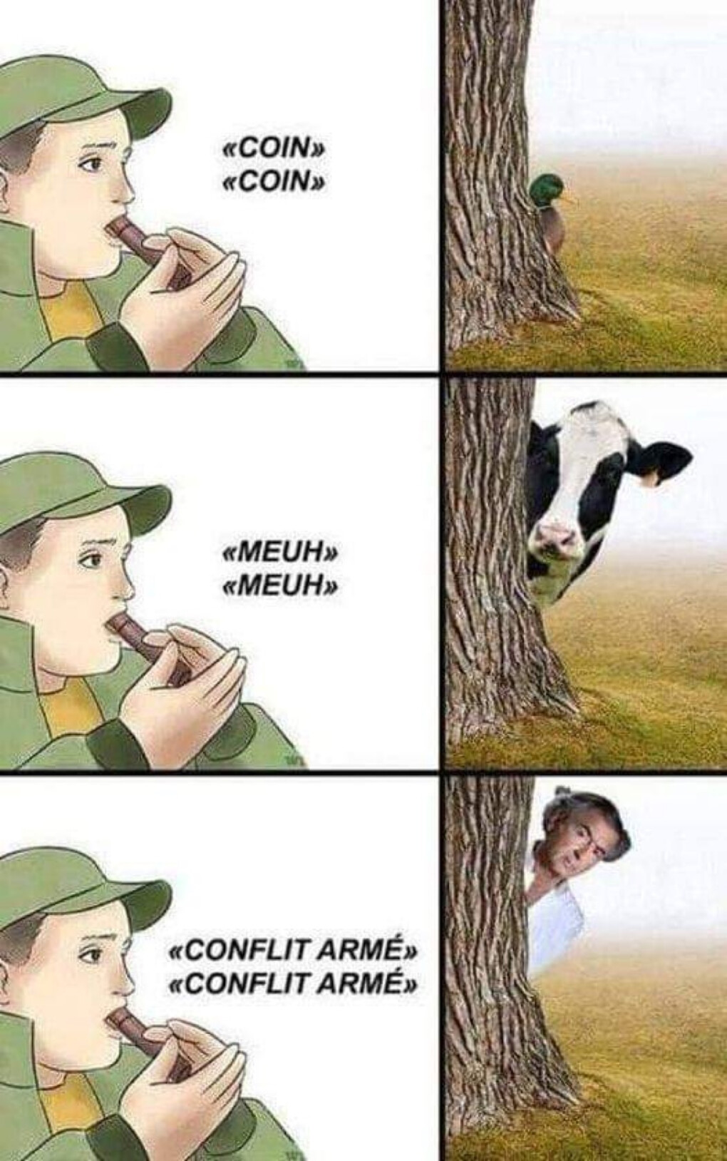 4364808.jpeg 4364808.jpeg
