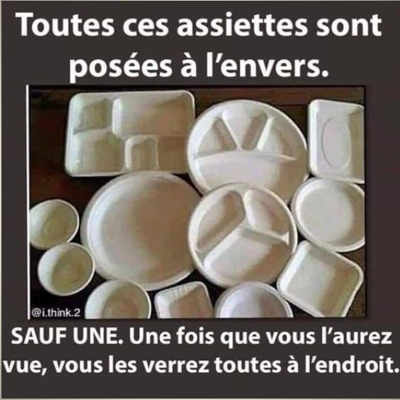 4364811.jpg 4364811.jpg
