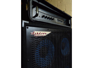 Ampeg B2 RW (93120)