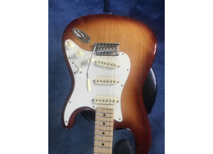 Fender American Professional Stratocaster (38320)