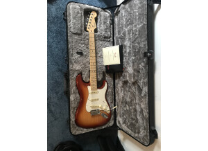 Fender American Professional Stratocaster (49946)