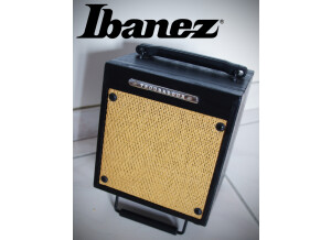 Ibanez [Troubadour Series] T10