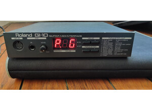 Roland GI-10 & Roland GK2A face light
