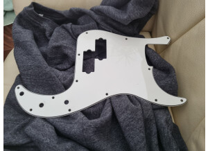 16465793426918629977169676162191