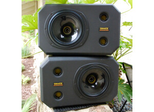 Tannoy System 800